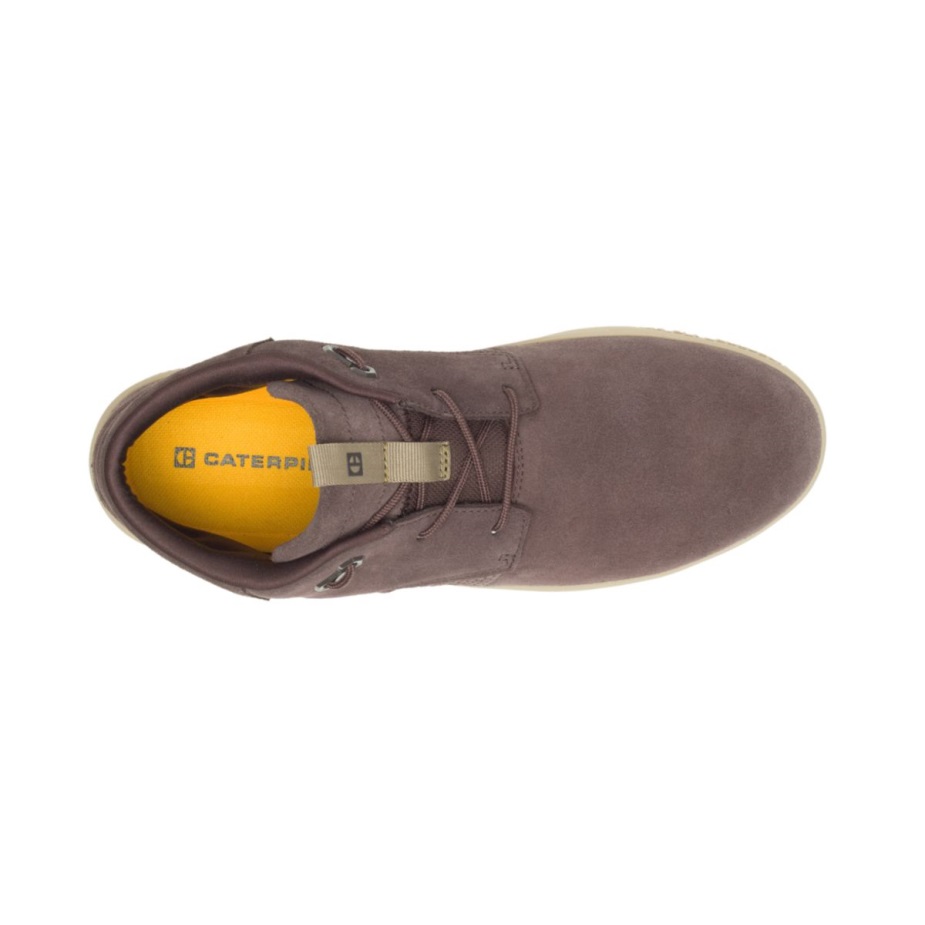 Koodi Tauko Mid Caterpillar Kahvipapu