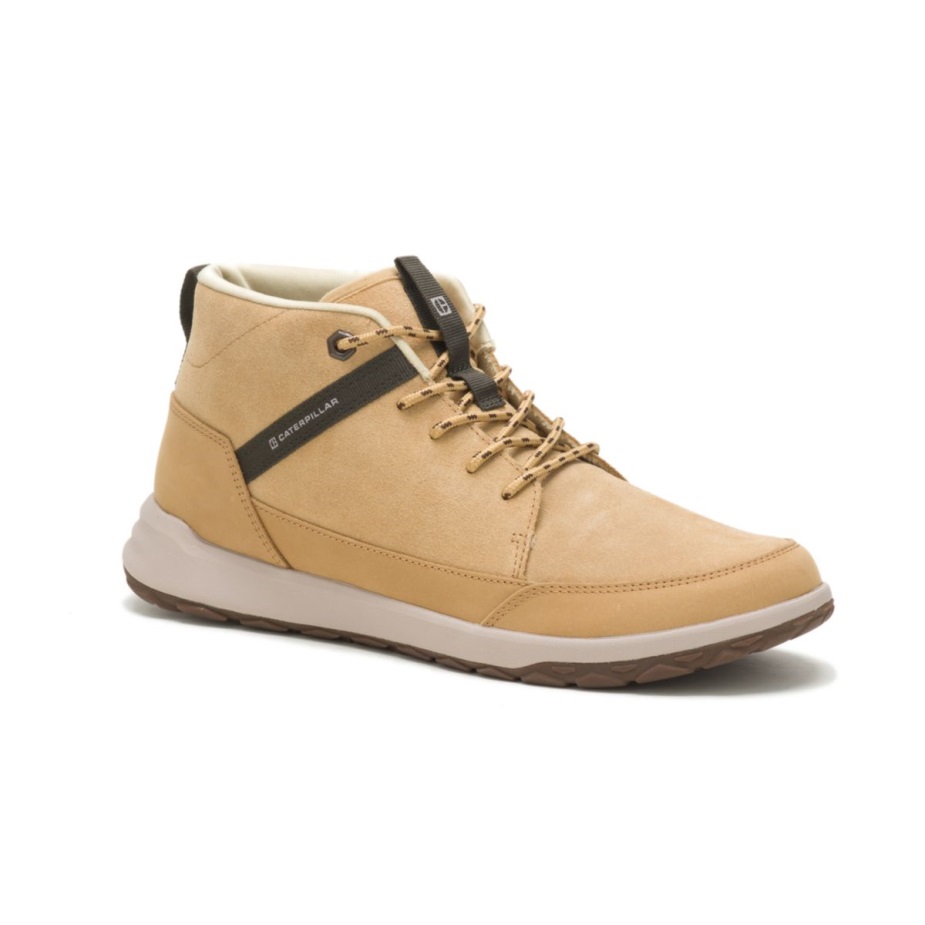 Curry Caterpillar Koodi Quest Mid